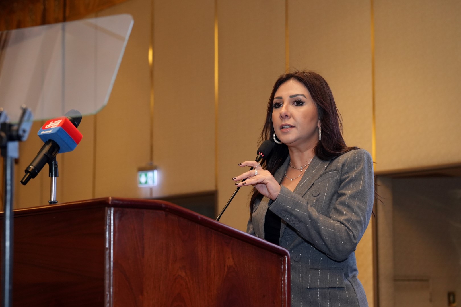 Ms. Rania Wagdy: Senior advisor to the chairman