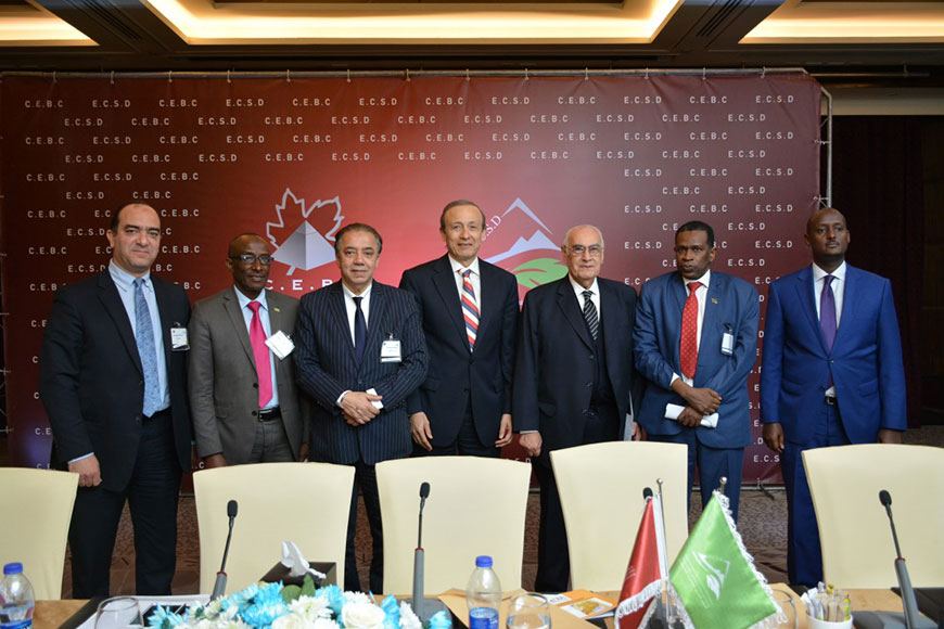 Africa in the heart of Egypt … Explore the opportunities in Africa