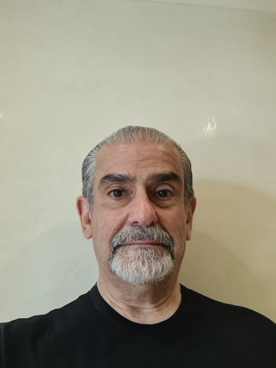 Al-Mansour Al-Tarzi