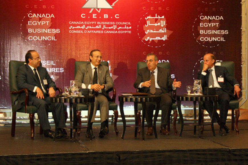 Egypt and the World; between the Financial & the Health Crises
