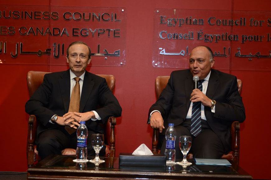 The Egyptian Diplomacy and Challenges of the Current Stage