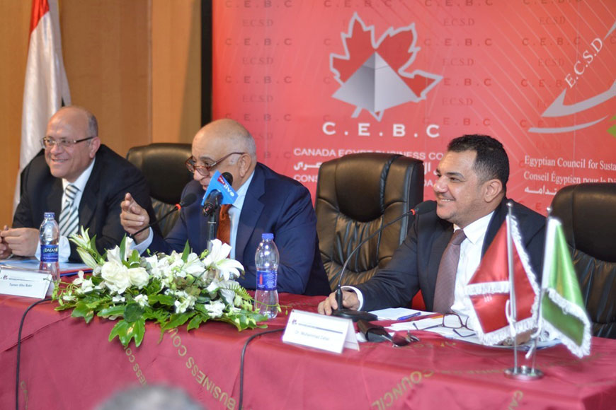 Roundtable with the Chairman of the Egyptian Mineral Resources Authority