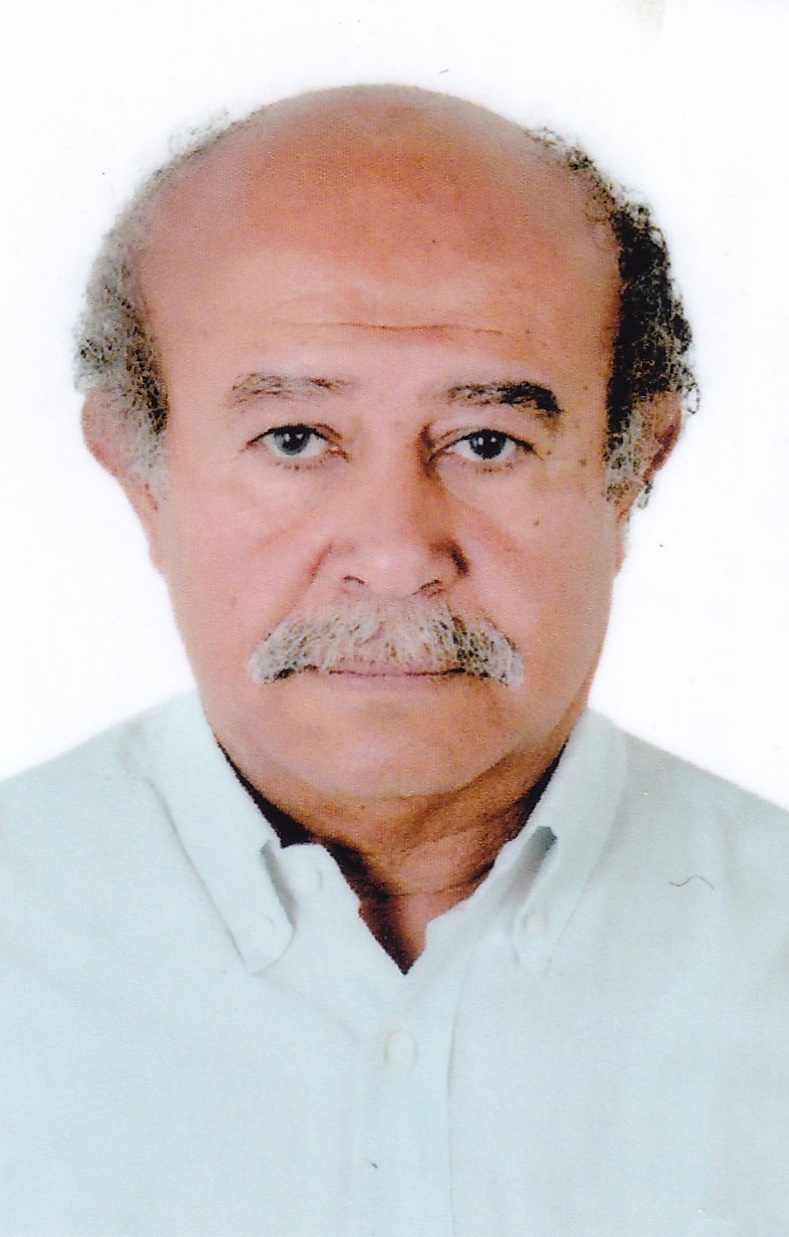 Emad Shafik  El Roody