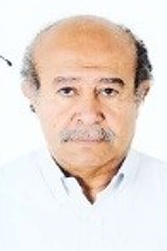 Emad Shafik  El Roody