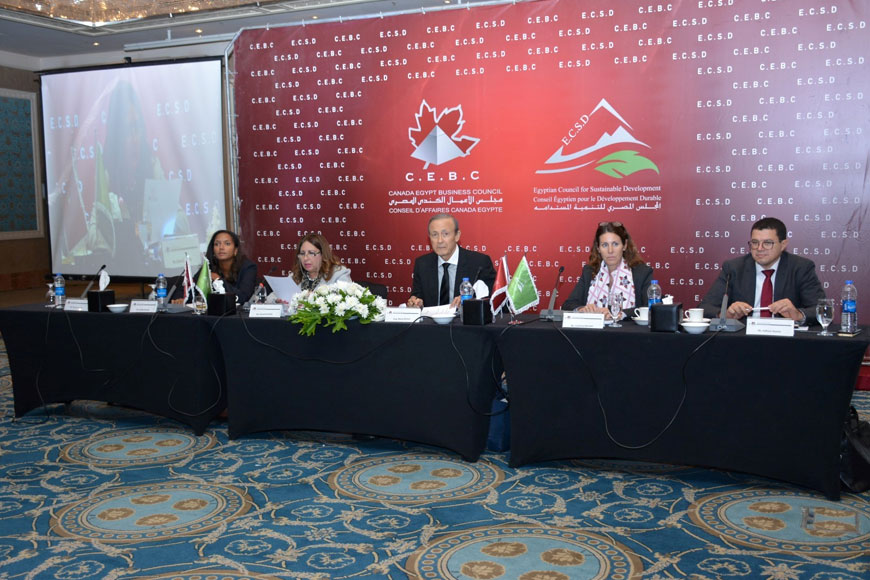 Energy projects in Egypt… Opportunities and challenges
