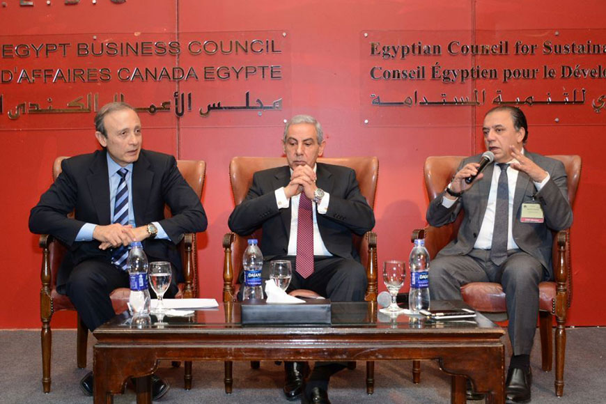 The Future of the Egyptian Industry Sector in light of the Current Challenges
