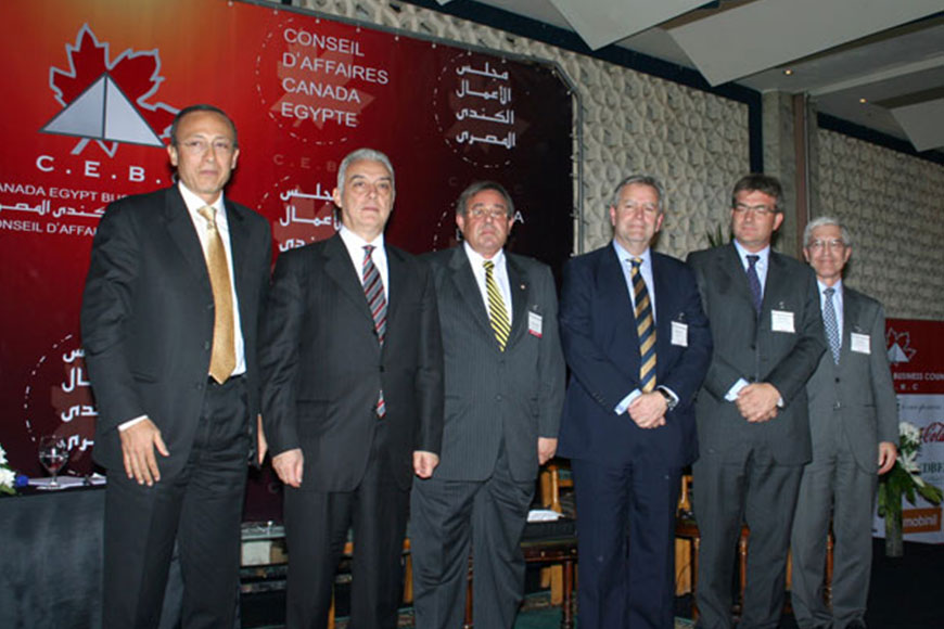 Petroleum in the Shadow of the Global Economic Crisis