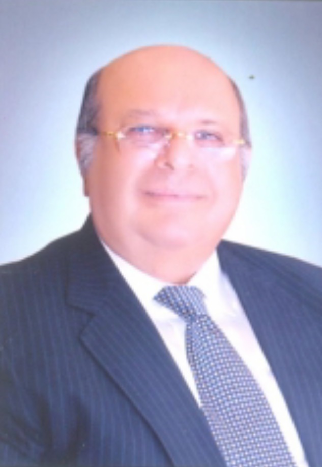 Mina Morcos Guirguis