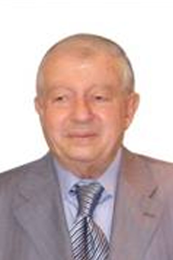 Mohamed Wagih El Degwi