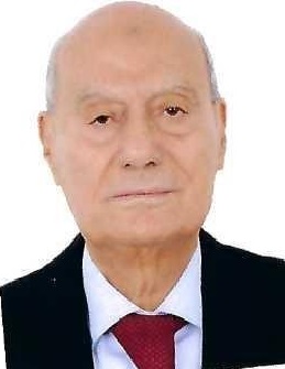 Samir El-Naggar