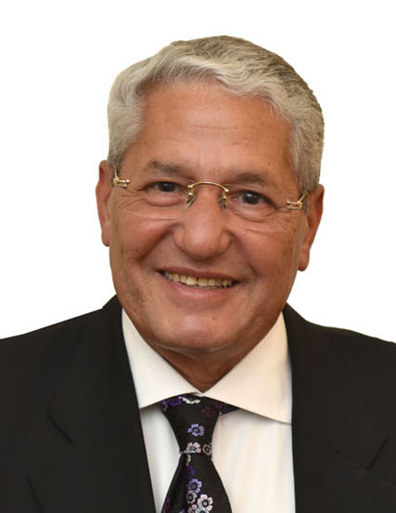 Sarwat Abd El-Shahid