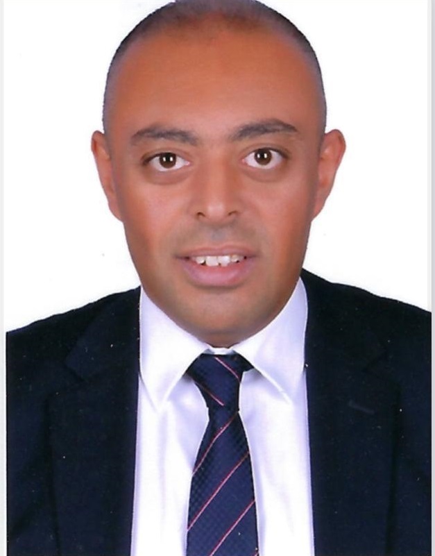 Shady Ismail Manzour
