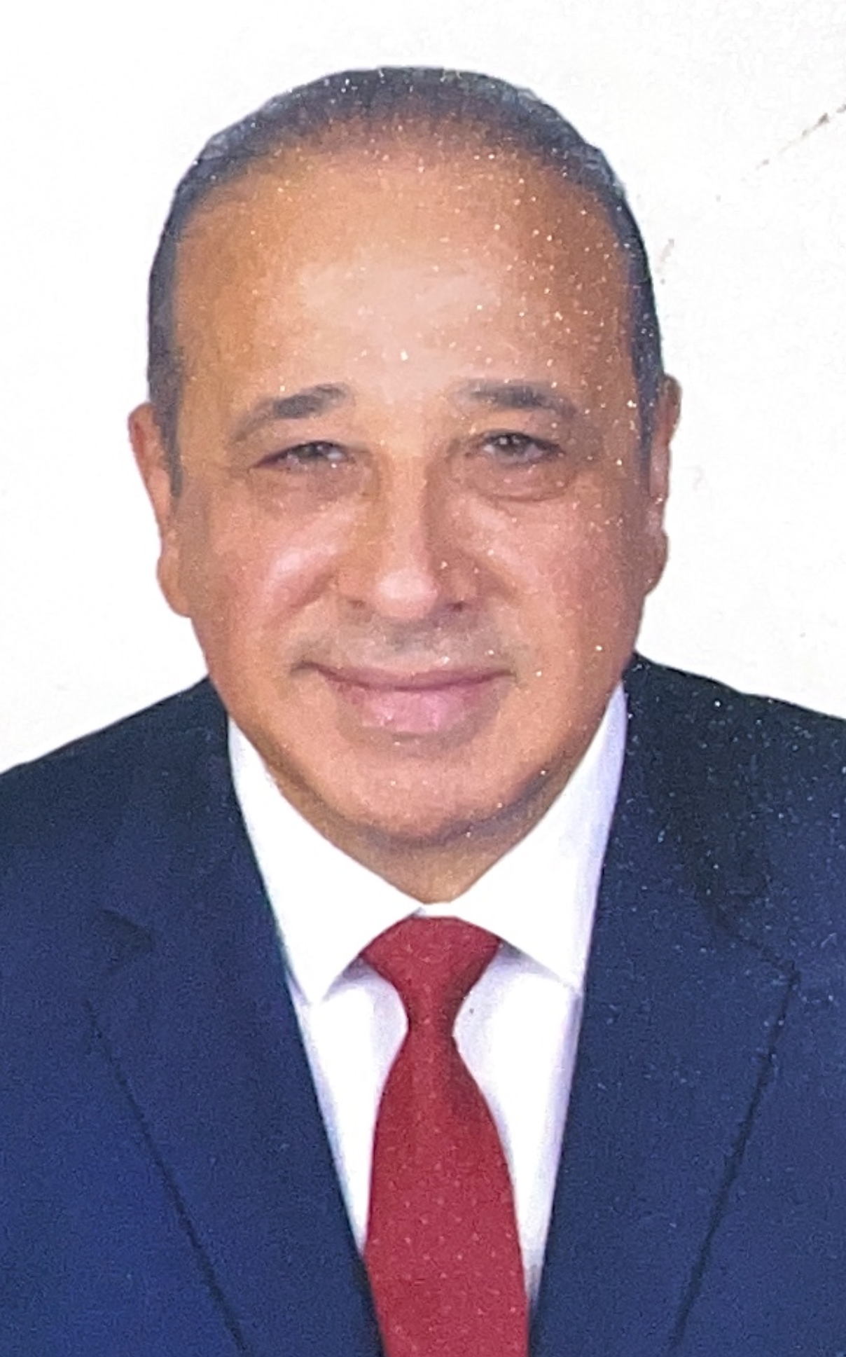 Waleed Abdelmoniem  Badr