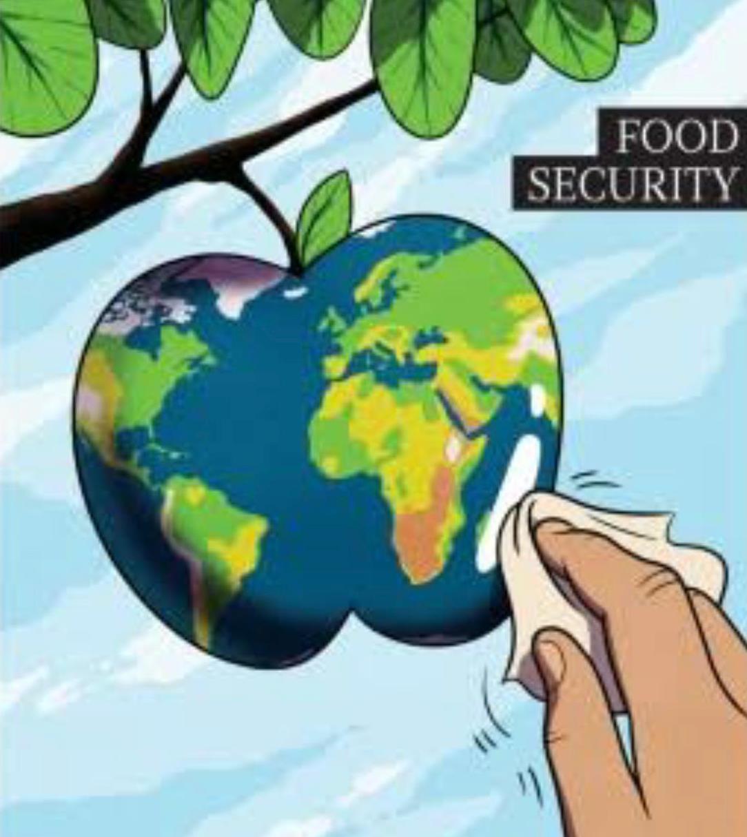 “Export and Import Strategy under the New Laws of the Food Safety Authority”