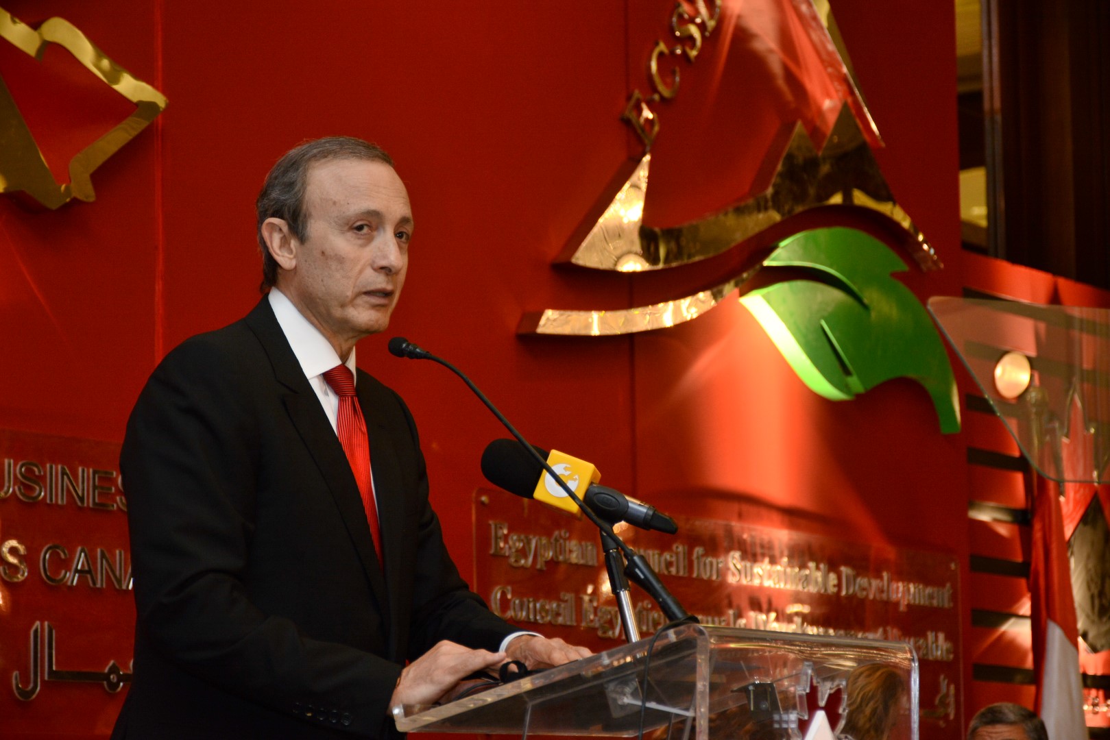 Moataz Raslan The Electricity Sector…Opportunities & Challenges | Canada Egypt ...