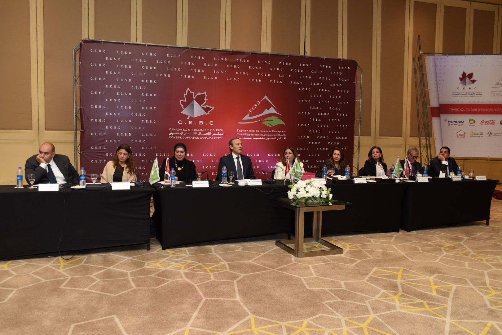 Reem Raslan Entrepreneurship & Innovation.. The Future of SMEs in Egypt | Canada ...